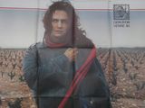 affiche française du film « Sans toit 'n' love »