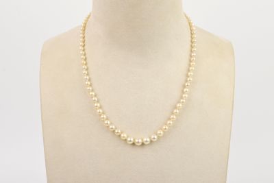 gros plan d'un torse de mannequin portant un collier