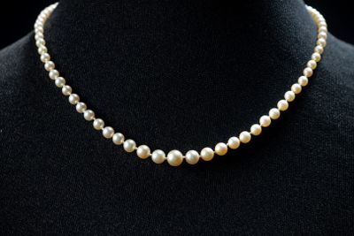 a white pearl necklace on a mannequin mannequin mannequin mannequin mannequin mannequin mannequin mannequin manne