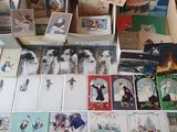 many cards on the table with pictures of people on them