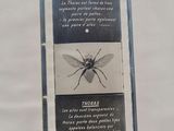 a picture of a box with a picture of a fly on it