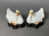 two white ducks that are sitting on top of each other