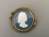 an image of a picture of a woman ' s profile in a blue and gold broochle
