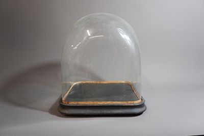 une cloche en verre posée sur un socle en bois, sur une surface blanche