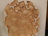 une photo d'un morceau de bois coupé en deux