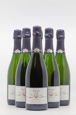 six bouteilles de vin sont alignées sur une surface blanche