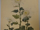 a picture of a painting of flowers on the wall