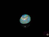 an oplite in the dark with a black background