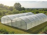 une grande serre dans un champ, avec des arbres en arrière-plan
