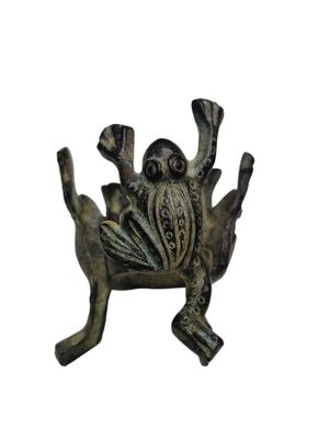 une grenouille assise sur un morceau de métal