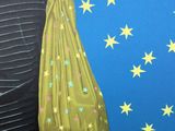 a man holding a green bag with stars on it