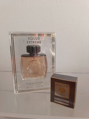 l'image d'un flacon de parfum à côté d'une boîte de parfum