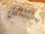a rock with writing on it sitting on a table