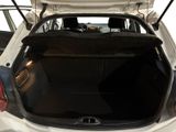 the back of a white car with its trunk open and a dog sitting in the trunk