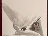 painting of a bird sitting on top of a piece of paper
