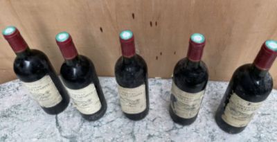 six bouteilles de vin sont alignées sur un plan de travail