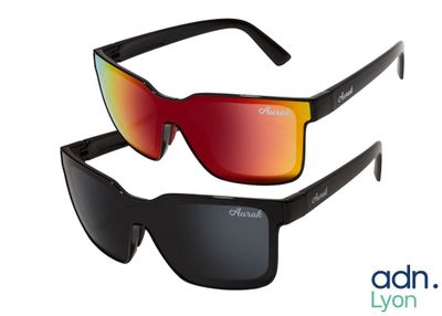 Lot de 2 paires de lunettes de soleil AURAK Gibson Evo et Fi…