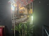 a plant in a pot in front of a mirror