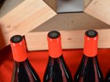 several bottles of wine are lined up on a red table