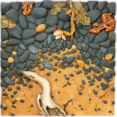 un oiseau perché sur les rochers au bord de l'eau