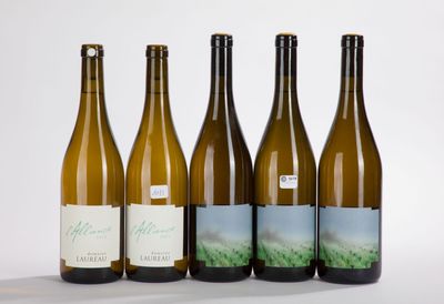 six bottles of wine are lined up in a row on a white surface