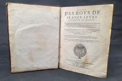 an open book with a picture of a lion on top of it