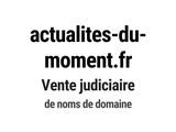 Photo 1/1 du lot