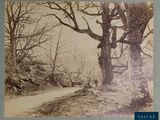 an old photo of a dirt road in the woods