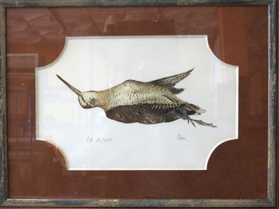 a picture of a bird that is flying in the air