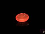 a red frisbee that is glowing in the dark