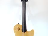 an image of a guitar on a stand on a white background