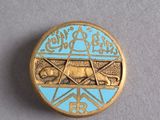 an image of a gold and blue pin with a star of david on it