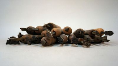 a lot of small pieces of wood on a white surface