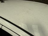 a cat sitting on top of a car in a parking lot