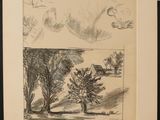 un dessin en noir et blanc représentant un arbre dans un champ