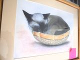 a picture of a cat that is sleeping in a basket