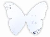 a picture of a white butterfly that is cut out of paper