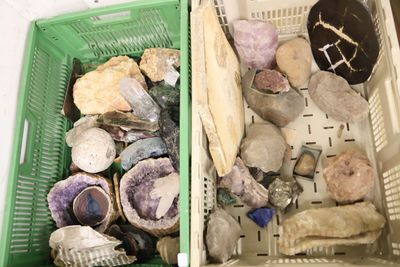 deux paniers remplis de cailloux et de coquillages posés sur une table
