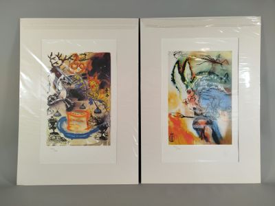 lot de deux tableaux encadrés représentant des animaux et des oiseaux, dans un cadre blanc
