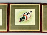 three framed pictures of birds on display in a room