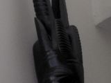 a picture of a fake animal head mounted on a wall