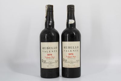 deux bouteilles de vin rouge posées l'une à côté de l'autre sur une surface blanche
