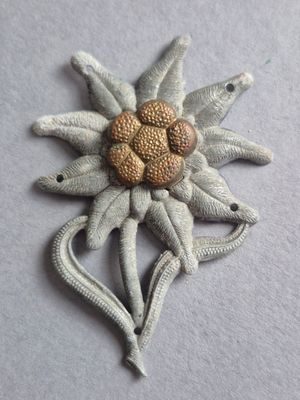 une image représentant un gros plan d'une fleur sur un morceau de tissu