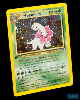 une carte Pokémon sur laquelle figure l'image d'un cheval blanc