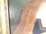 un chat qui se tient devant un miroir