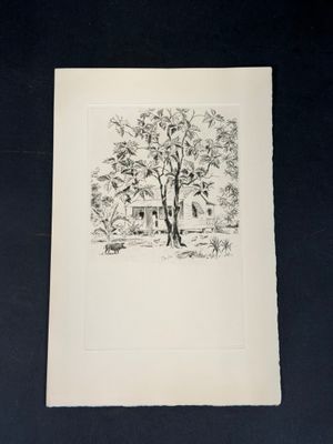 un dessin en noir et blanc représentant un arbre avec une maison en arrière-plan