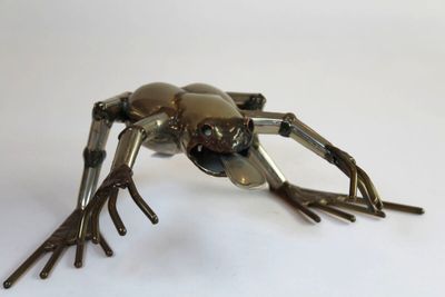 BOUVIER Gérard (1942), "Grenouille"