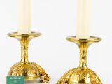 a pair of brass candlesticks with a turtle on the top and a turtle on the bottom