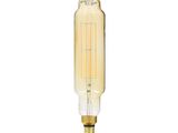 a close up of a light bulb on a white background