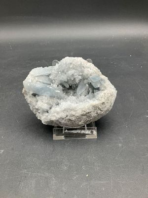 Géode de Célestite bleue avec de jolis cristaux proéminents …